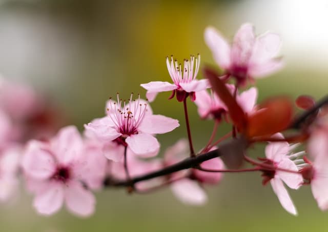 DSC02267-2 Large.jpeg