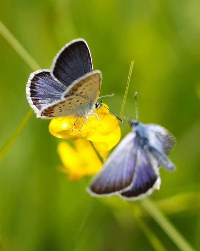 IMG_9067_a2 Large.jpeg