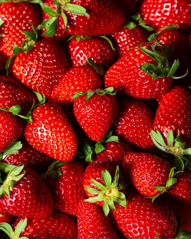 IMG_2563-3 Large.jpeg