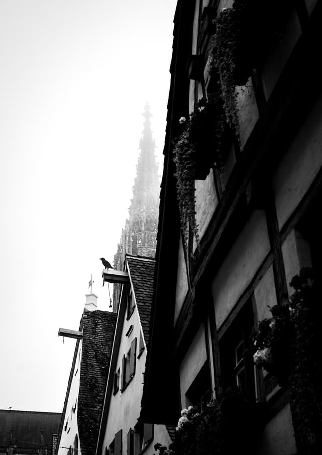 DSC02724-2 Large.jpeg