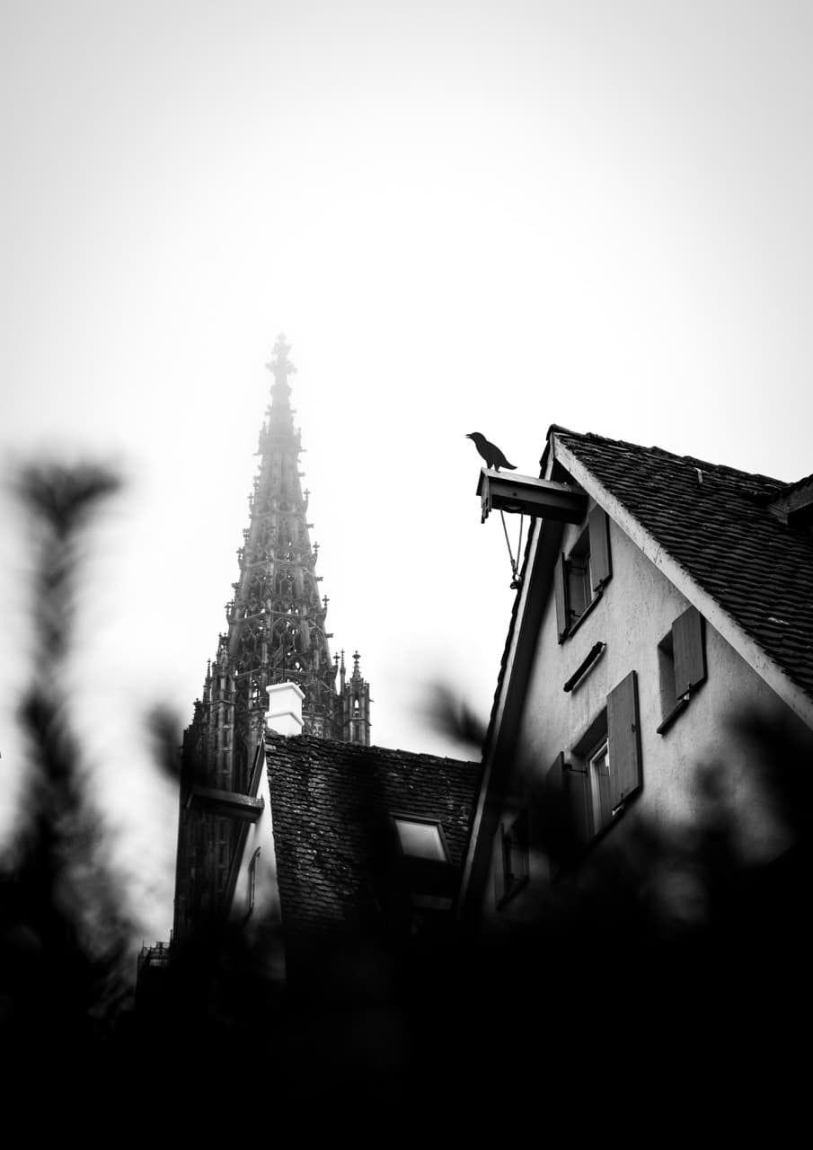 /data/fotografie/ulm/DSC02734-2 Large.jpeg