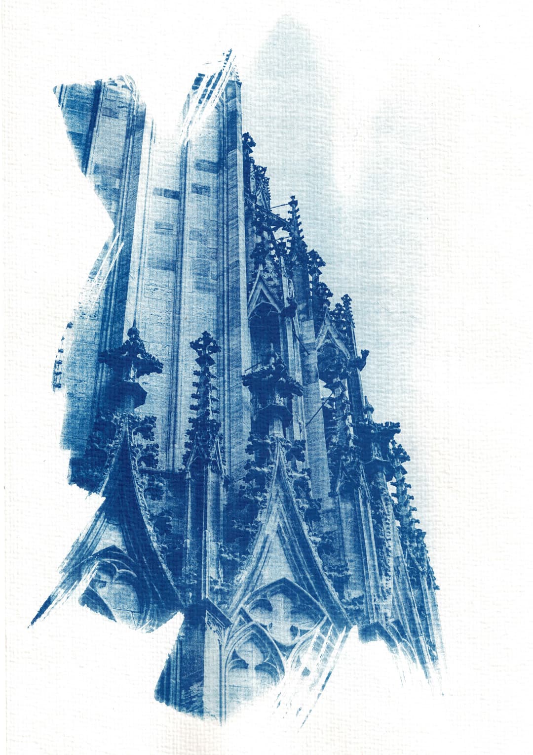 /data/kunst/cyanotypieUlm1_Nov24/mfc-l8900cdw.fiber.garden (36).jpg