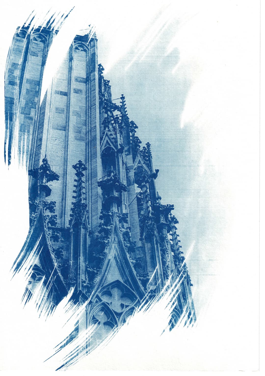 /data/kunst/cyanotypieUlm1_Nov24/mfc-l8900cdw.fiber.garden (40).jpg