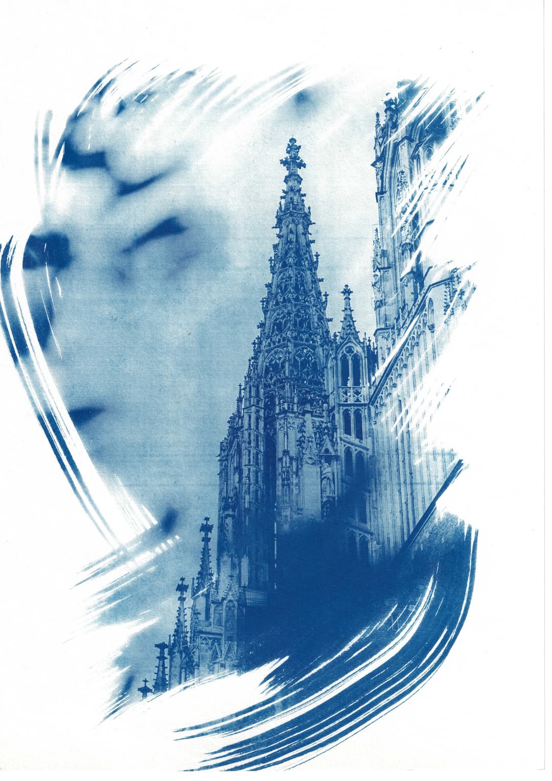 /data/kunst/cyanotypieUlm1_Nov24/mfc-l8900cdw.fiber.garden (41).jpg