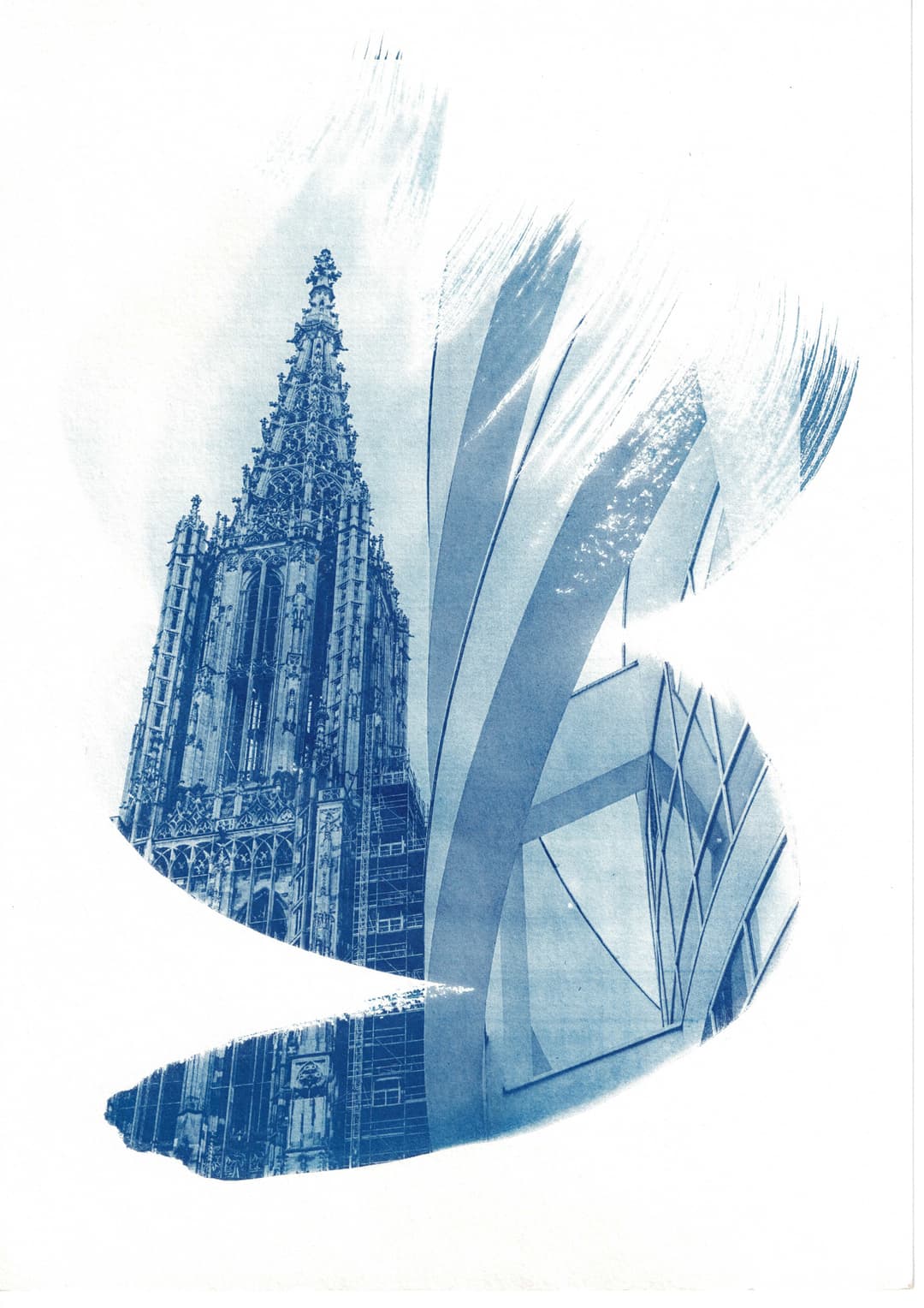 /data/kunst/cyanotypieUlm1_Nov24/mfc-l8900cdw.fiber.garden (42).jpg