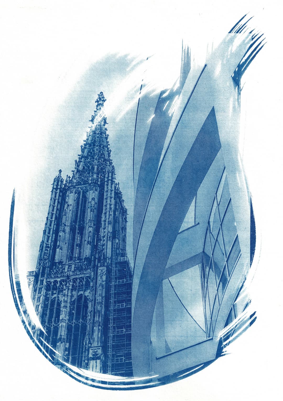 /data/kunst/cyanotypieUlm1_Nov24/mfc-l8900cdw.fiber.garden (43).jpg