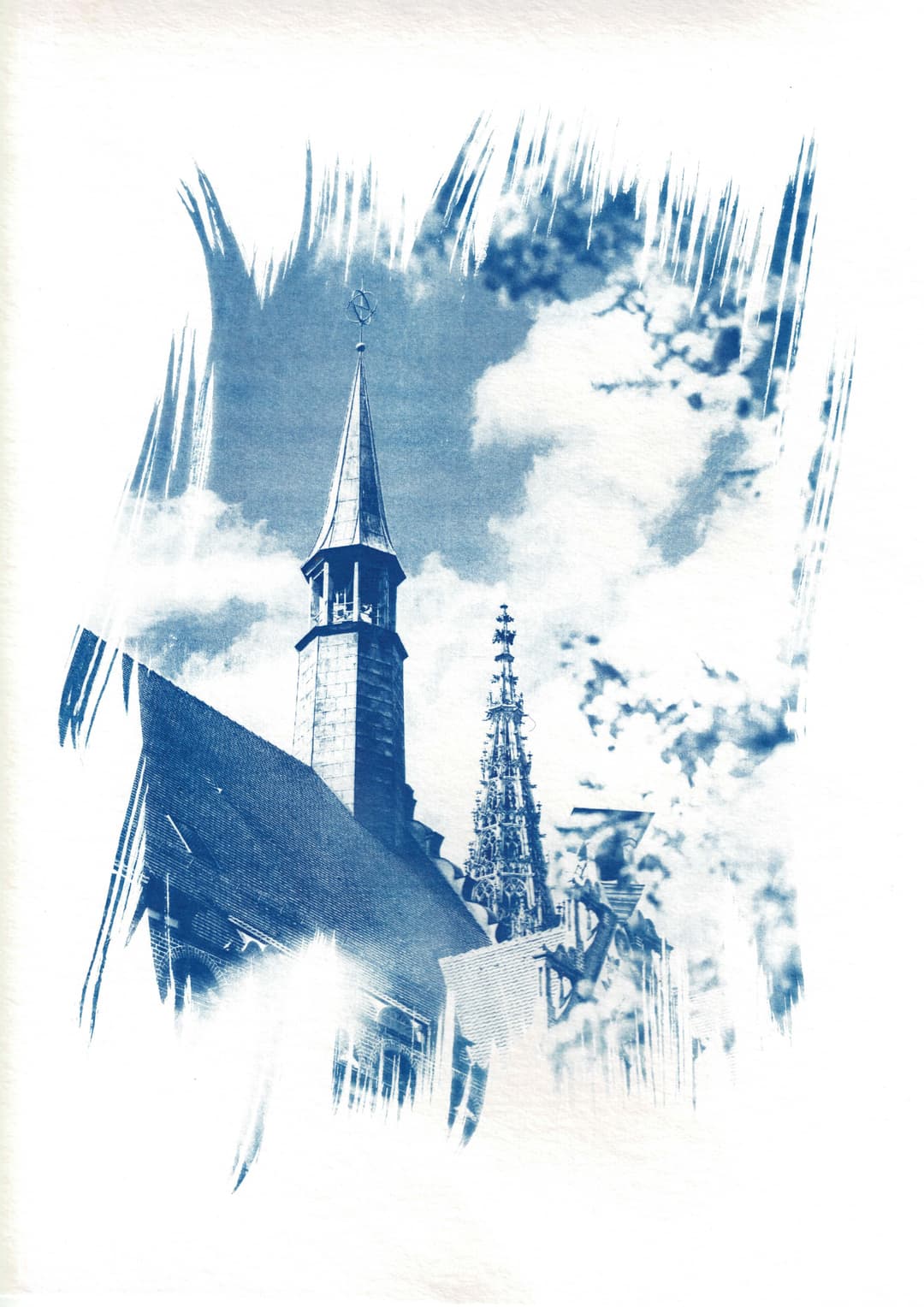 /data/kunst/cyanotypieUlm2_Nov24/mfc-l8900cdw.fiber.garden (26).jpg