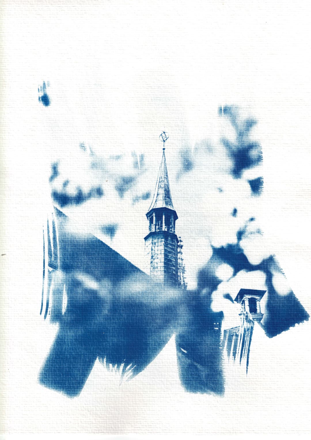 /data/kunst/cyanotypieUlm2_Nov24/mfc-l8900cdw.fiber.garden (28).jpg