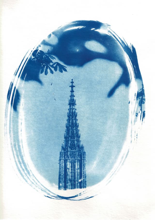 mfc-l8900cdw.fiber.garden (29).jpg