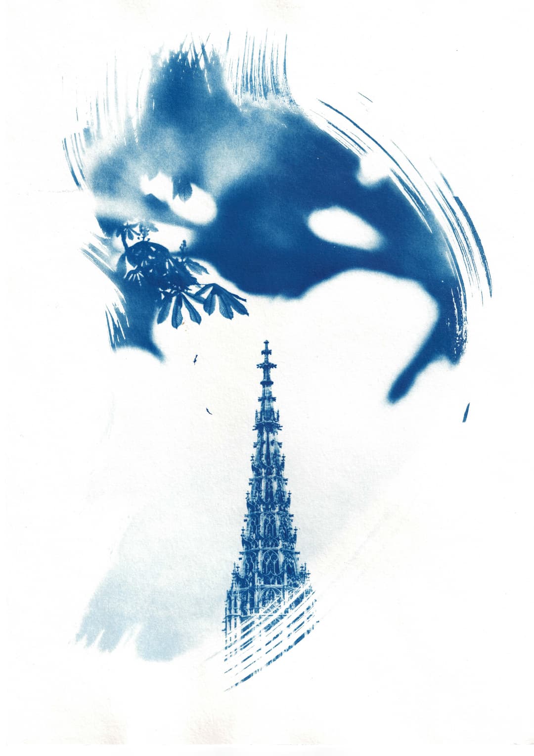 /data/kunst/cyanotypieUlm2_Nov24/mfc-l8900cdw.fiber.garden (30).jpg