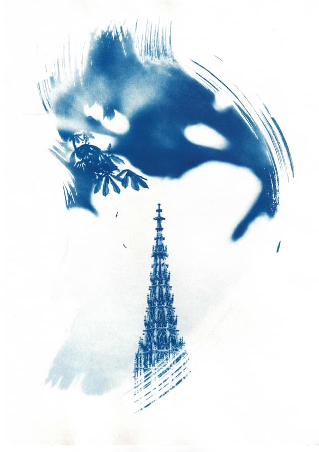 mfc-l8900cdw.fiber.garden (30).jpg