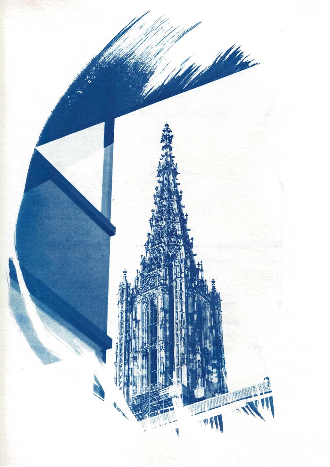 /data/kunst/cyanotypieUlm2_Nov24/mfc-l8900cdw.fiber.garden (33).jpg