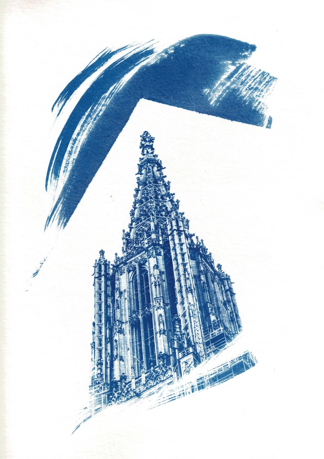 /data/kunst/cyanotypieUlm2_Nov24/mfc-l8900cdw.fiber.garden (34).jpg