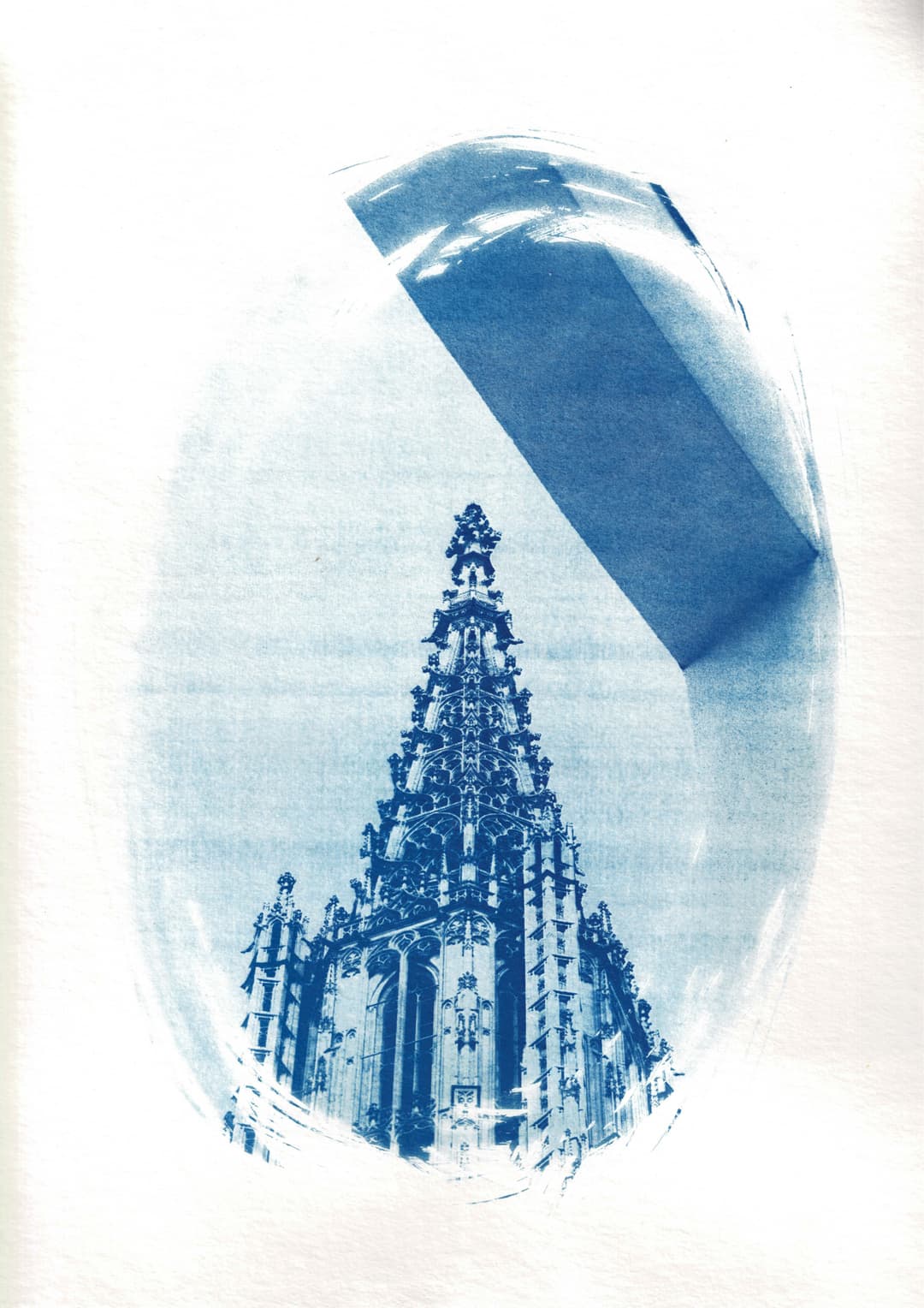 /data/kunst/cyanotypieUlm2_Nov24/mfc-l8900cdw.fiber.garden (35).jpg