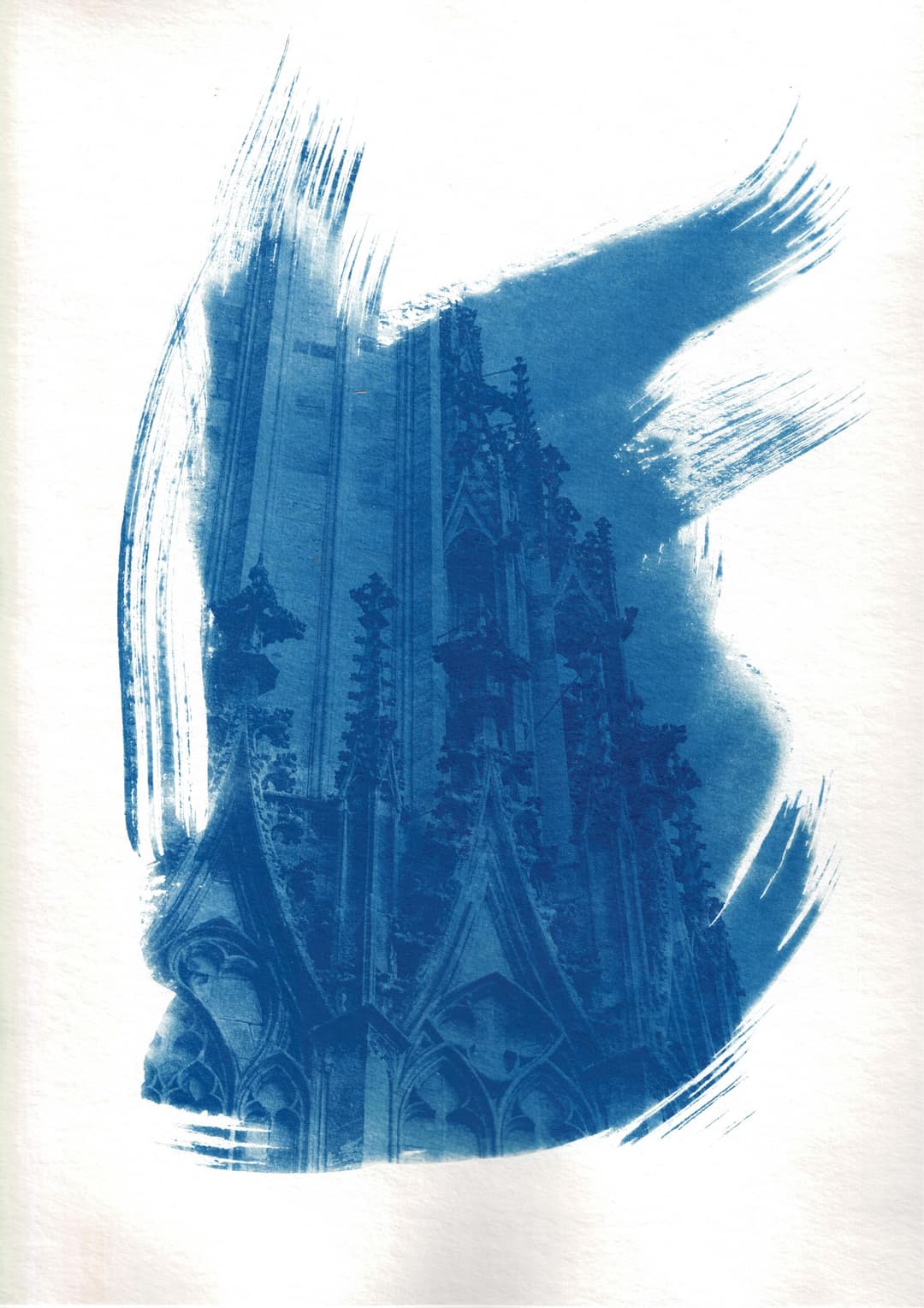 /data/kunst/cyanotypieUlm2_Nov24/mfc-l8900cdw.fiber.garden (37).jpg