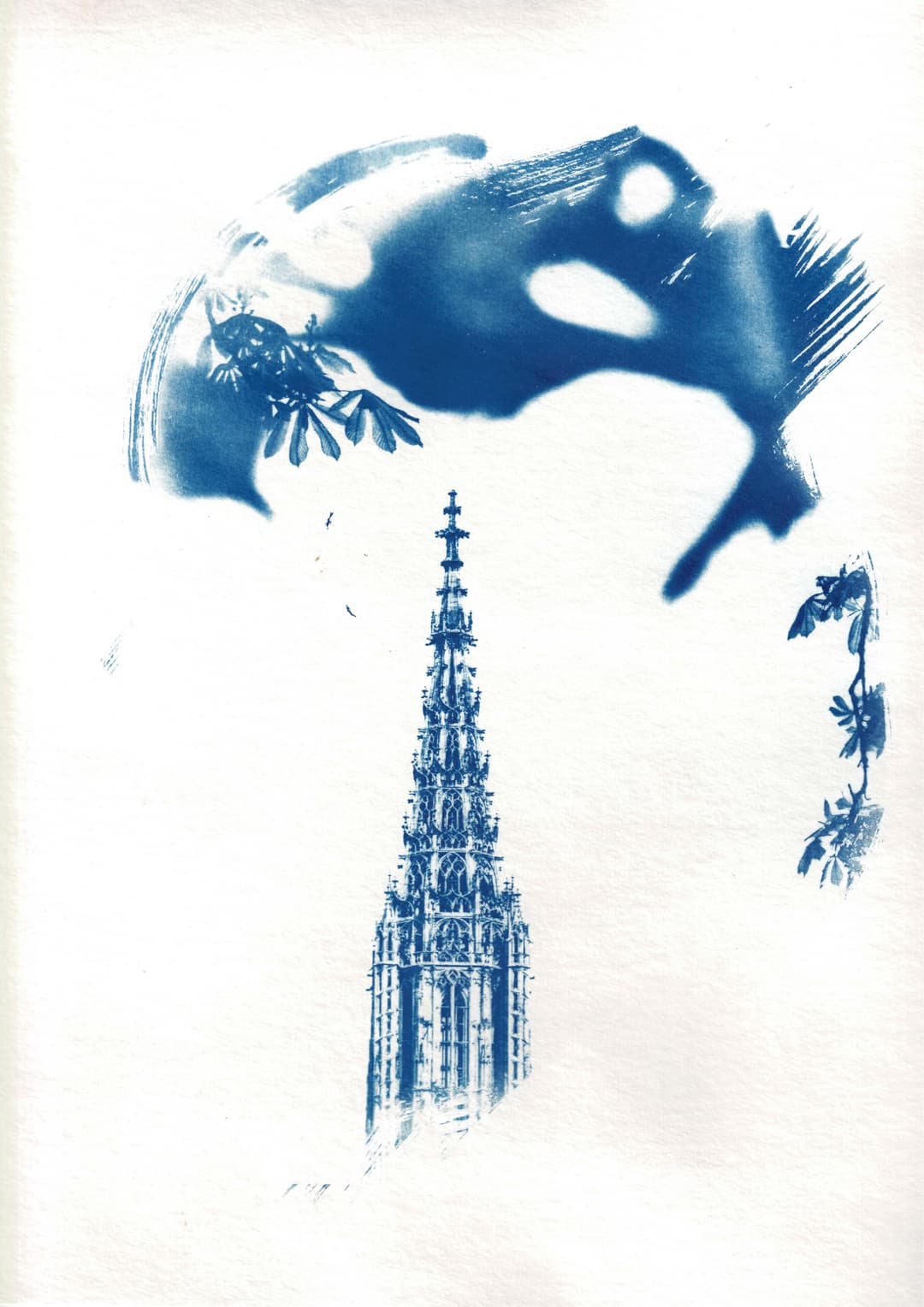 /data/kunst/cyanotypieUlm2_Nov24/mfc-l8900cdw.fiber.garden (38).jpg