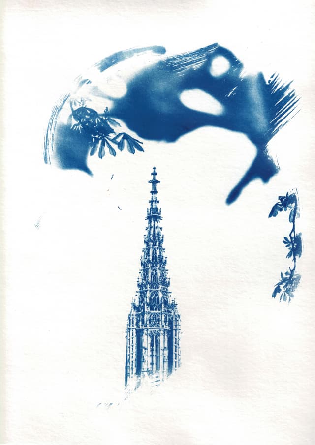 mfc-l8900cdw.fiber.garden (38).jpg