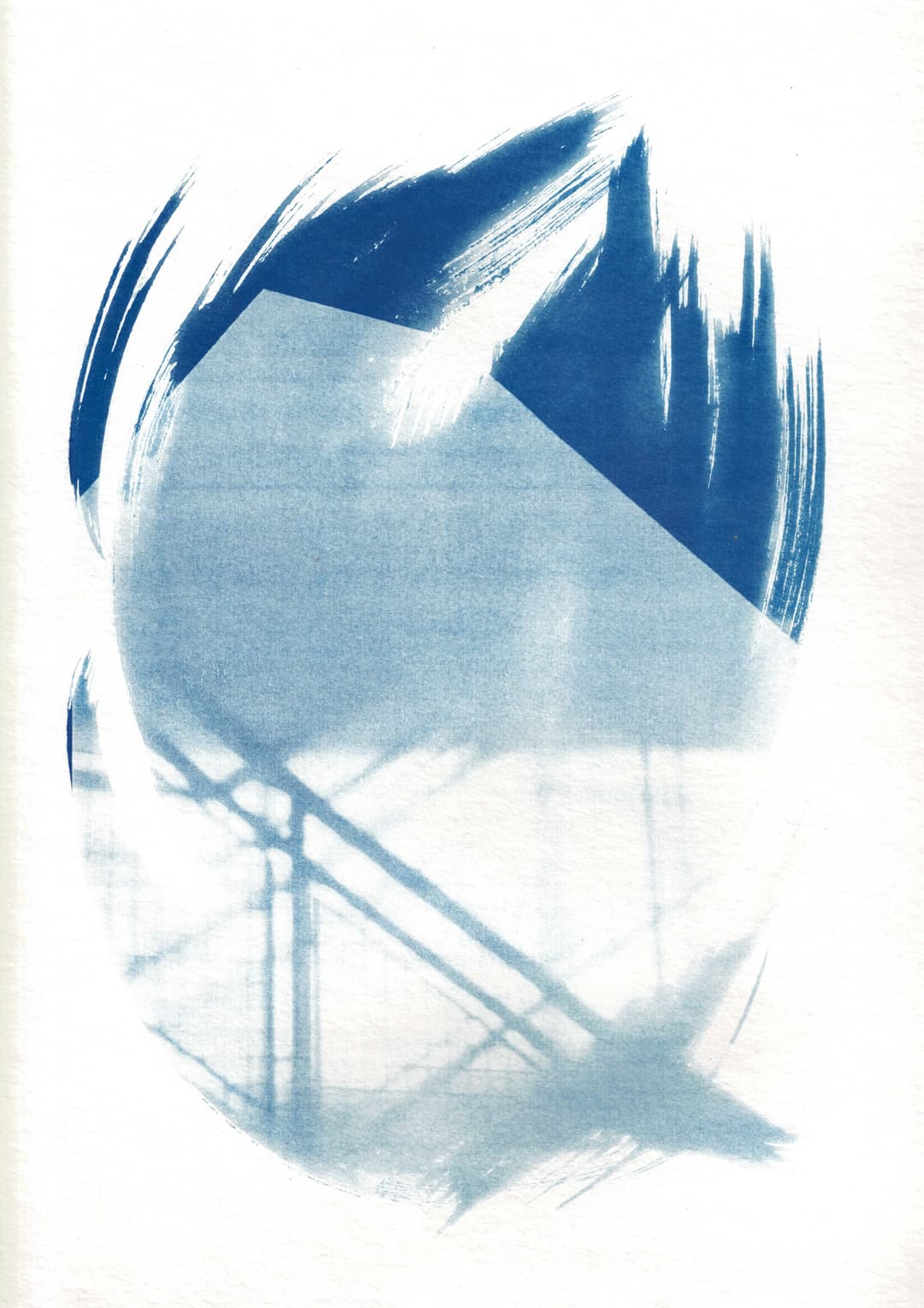 /data/kunst/cyanotypieUlm2_Nov24/mfc-l8900cdw.fiber.garden (44).jpg