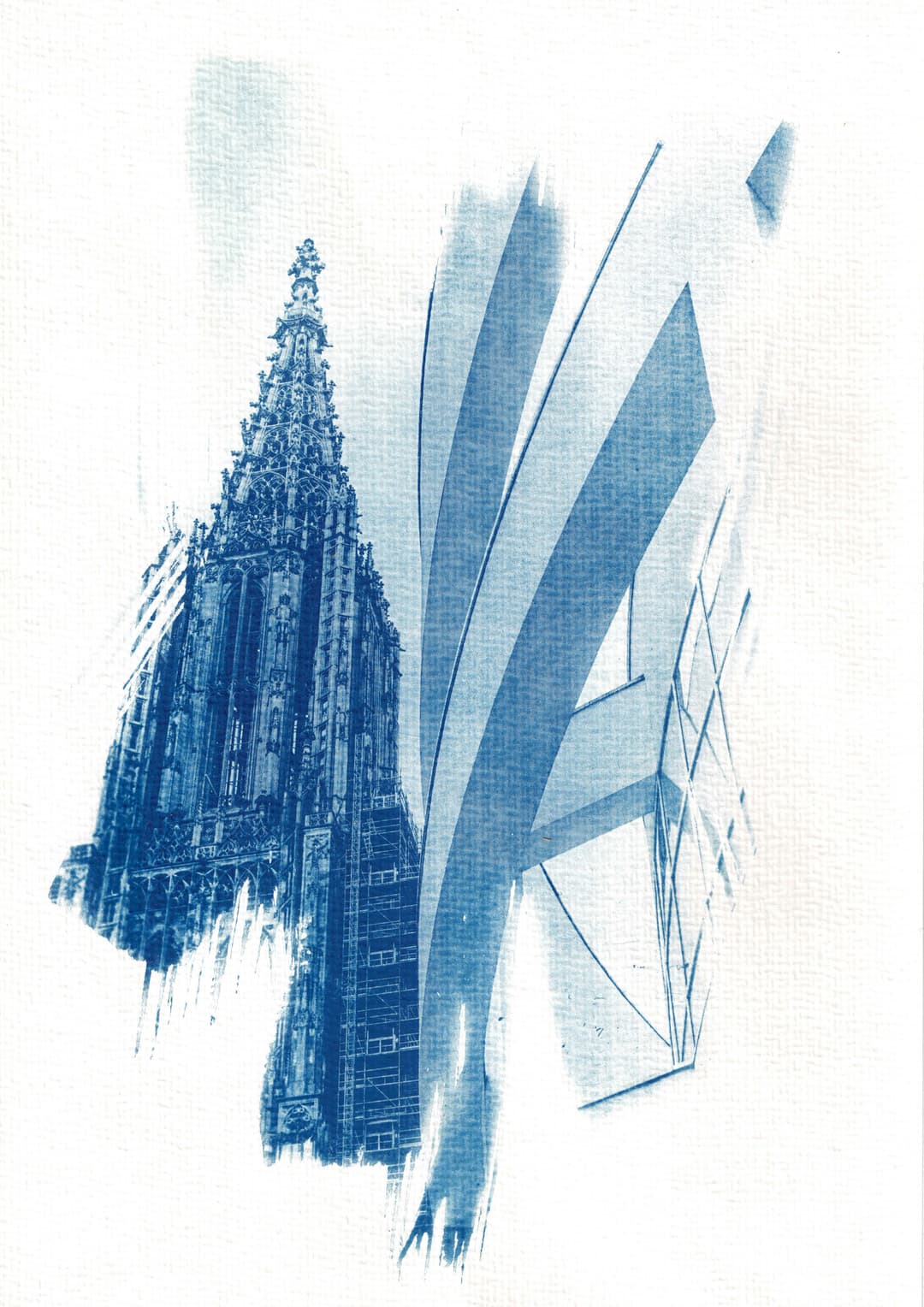 /data/kunst/cyanotypieUlm2_Nov24/mfc-l8900cdw.fiber.garden (45).jpg