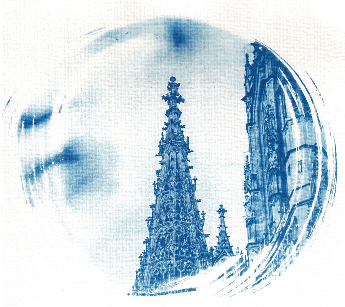 /data/kunst/cyanotypieUlm2_Nov24/mfc-l8900cdw.fiber.garden (47).jpg