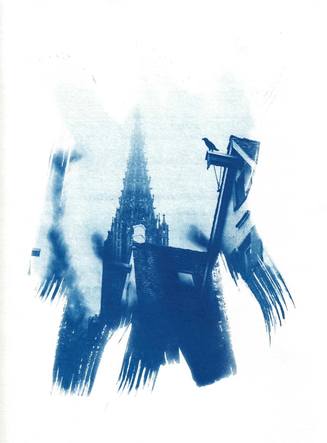 /data/kunst/cyanotypieUlm3_Nov24/mfc-l8900cdw.fiber.garden._004922 (Benutzerdefiniert).jpg