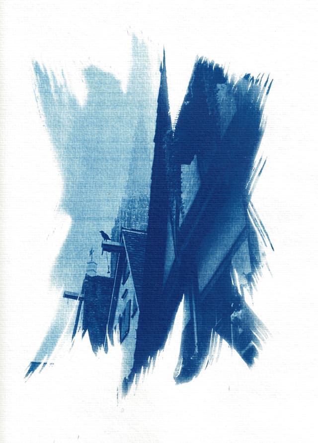 mfc-l8900cdw.fiber.garden._004923 (Benutzerdefiniert).jpg