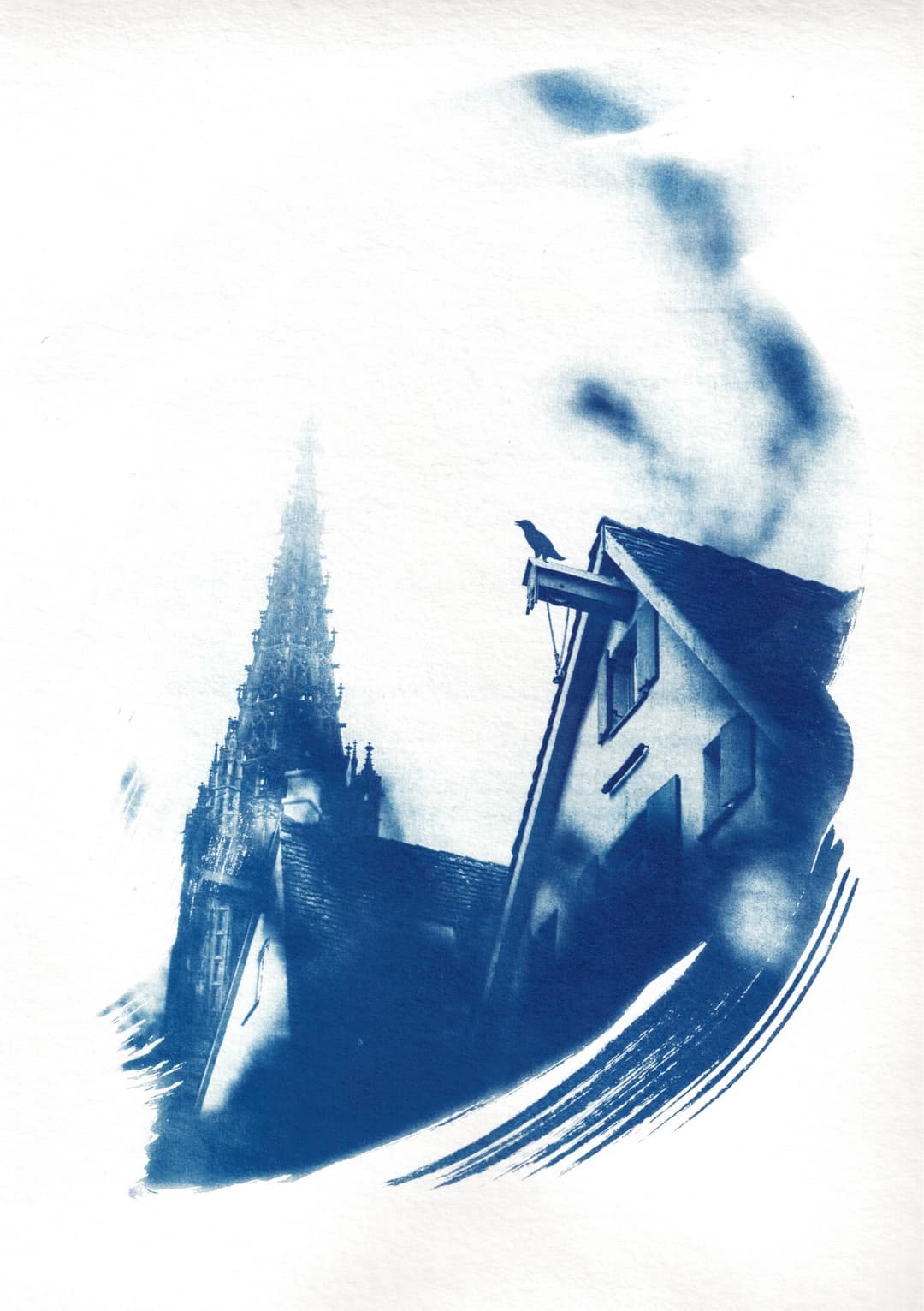 /data/kunst/cyanotypieUlm3_Nov24/mfc-l8900cdw.fiber.garden._004924 (Benutzerdefiniert).jpg