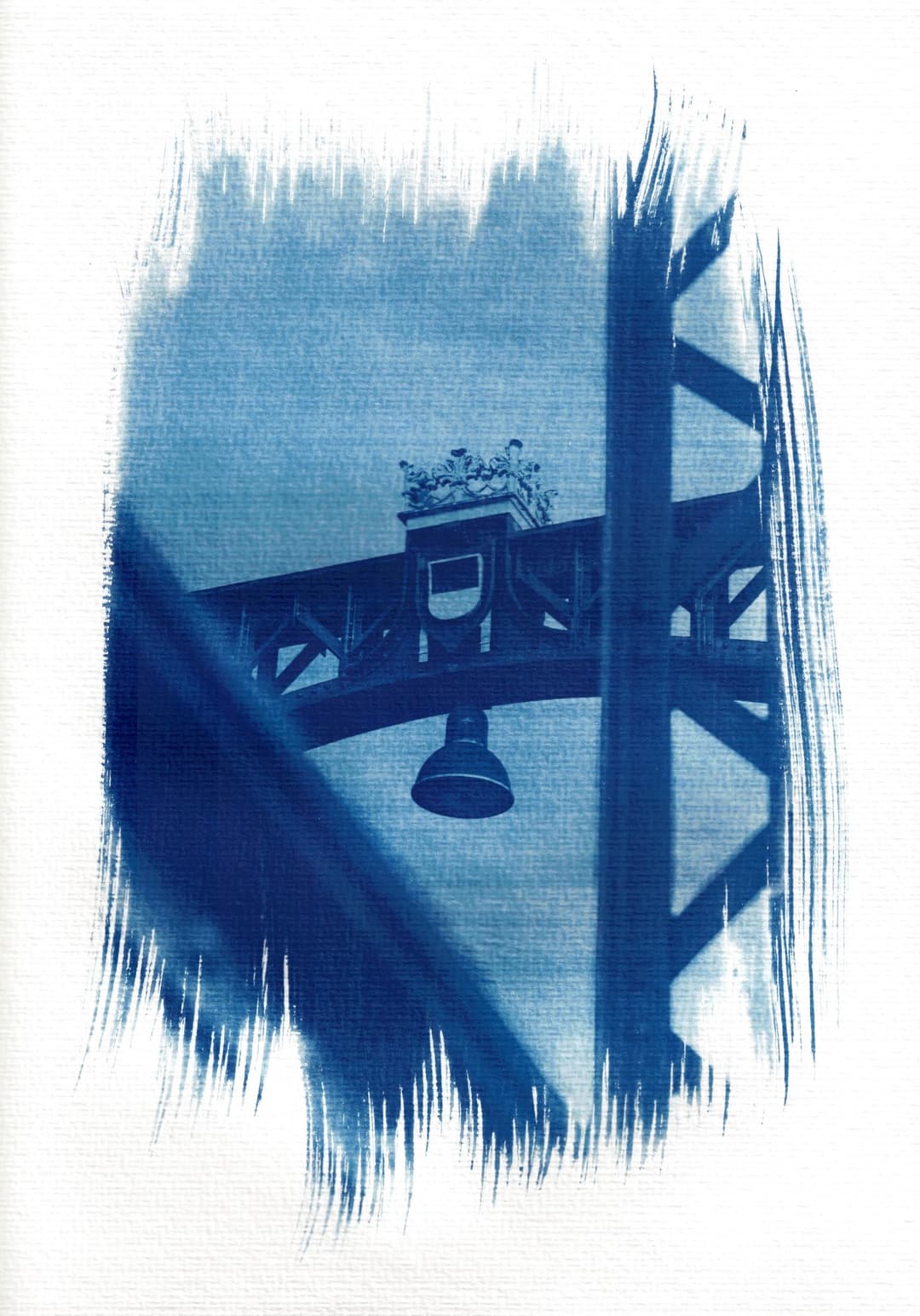 /data/kunst/cyanotypieUlm3_Nov24/mfc-l8900cdw.fiber.garden._004926 (Benutzerdefiniert).jpg