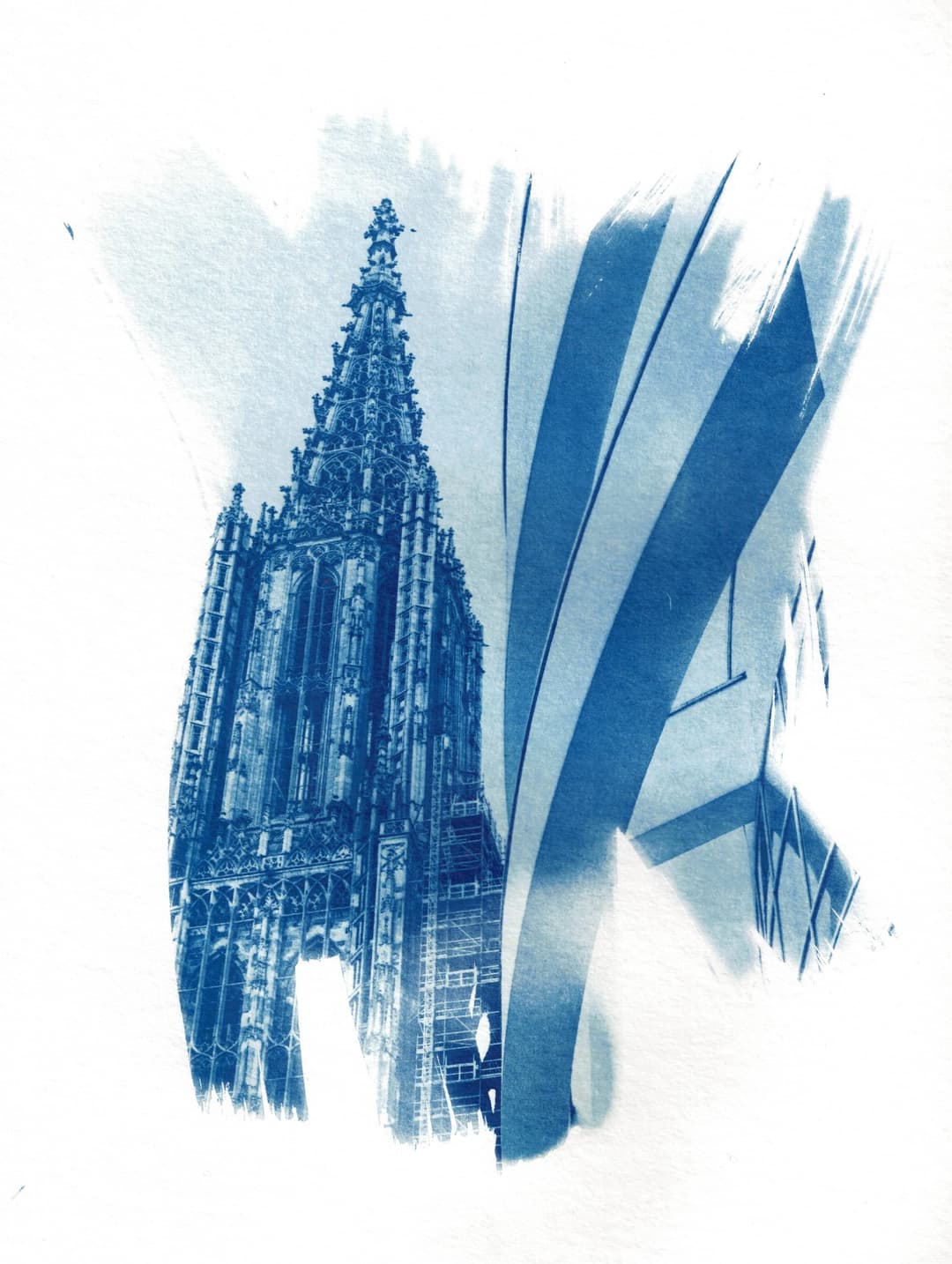 /data/kunst/cyanotypieUlm3_Nov24/mfc-l8900cdw.fiber.garden._004927 (Benutzerdefiniert).jpg