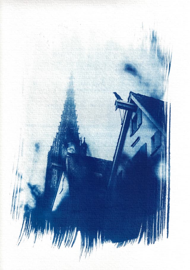 mfc-l8900cdw.fiber.garden._004928 (Benutzerdefiniert).jpg