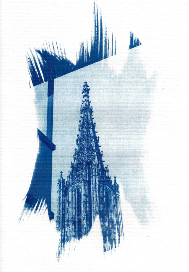 mfc-l8900cdw.fiber.garden._004929 (Benutzerdefiniert).jpg