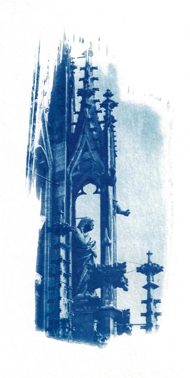 mfc-l8900cdw.fiber.garden._004930 (Benutzerdefiniert).jpg