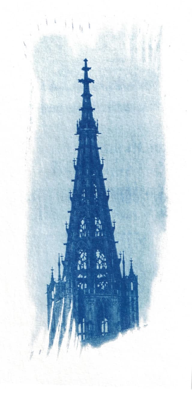 mfc-l8900cdw.fiber.garden._004930-2 (Benutzerdefiniert).jpg