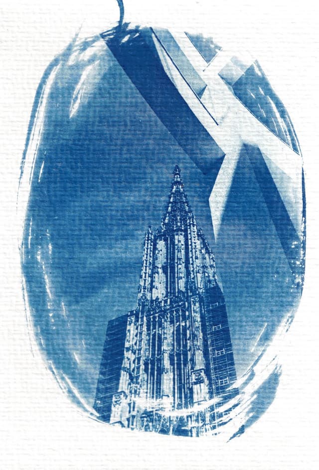 mfc-l8900cdw.fiber.garden._004930-4 (Benutzerdefiniert).jpg