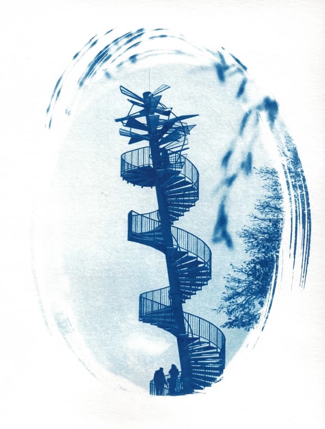 mfc-l8900cdw.fiber.garden (1).jpg