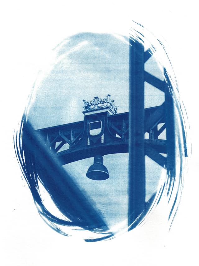 mfc-l8900cdw.fiber.garden (13).jpg