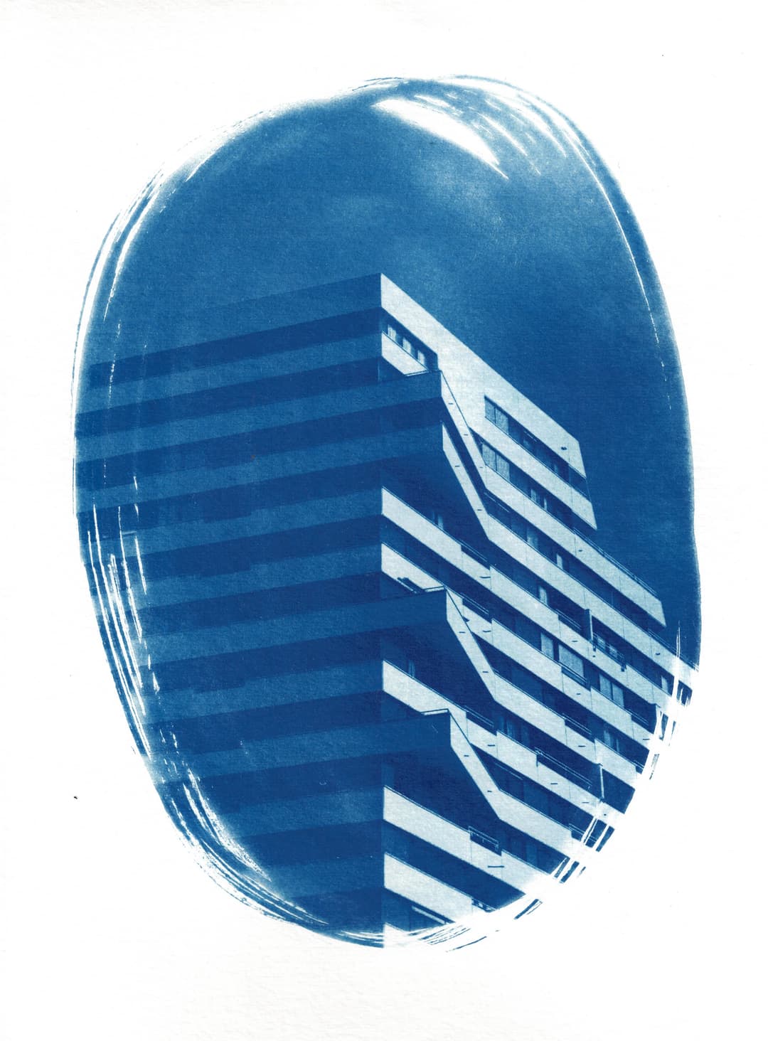 /data/kunst/cyanotypieUlm4_Dez24/mfc-l8900cdw.fiber.garden (14).jpg