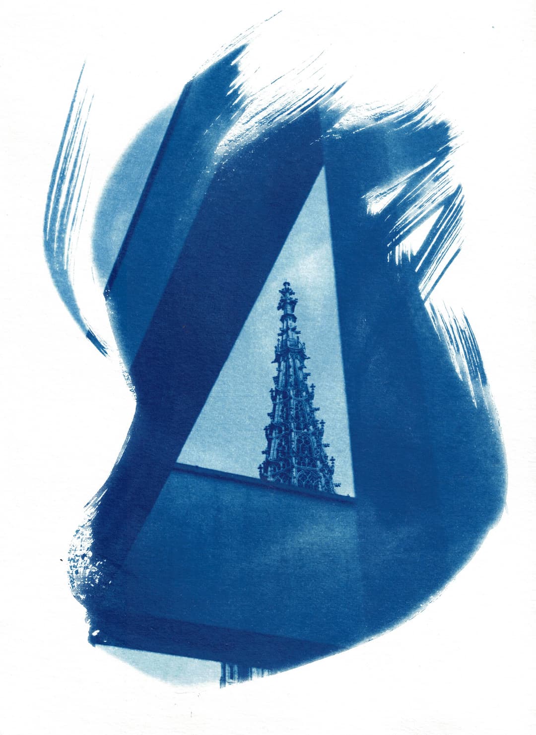 /data/kunst/cyanotypieUlm4_Dez24/mfc-l8900cdw.fiber.garden (19).jpg