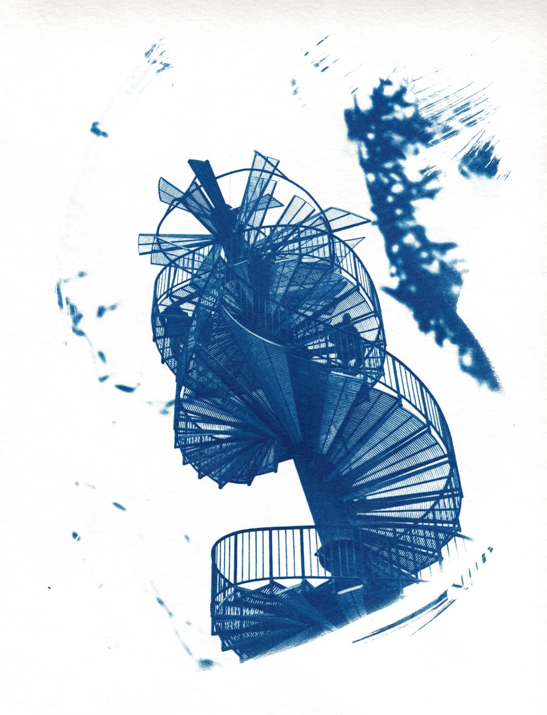 /data/kunst/cyanotypieUlm4_Dez24/mfc-l8900cdw.fiber.garden (20).jpg