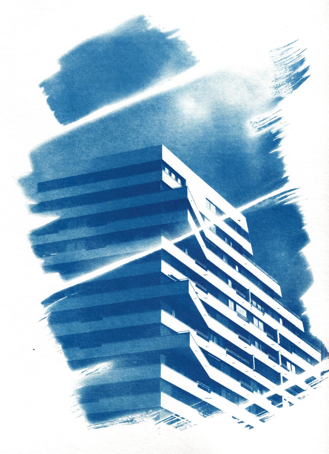 /data/kunst/cyanotypieUlm4_Dez24/mfc-l8900cdw.fiber.garden (21).jpg