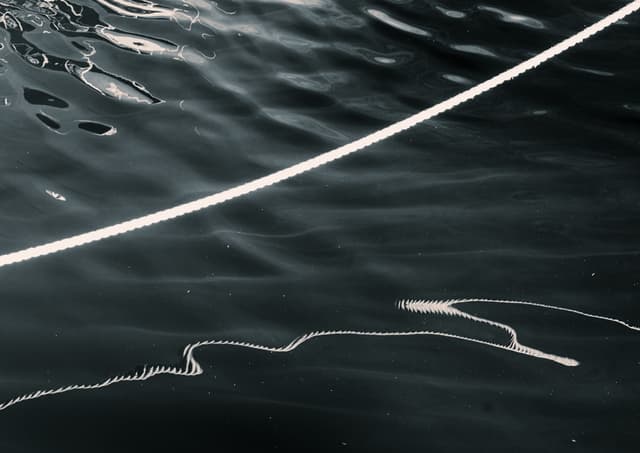 Fotografie_Serie_Seil_Querformat (7) Large.jpeg